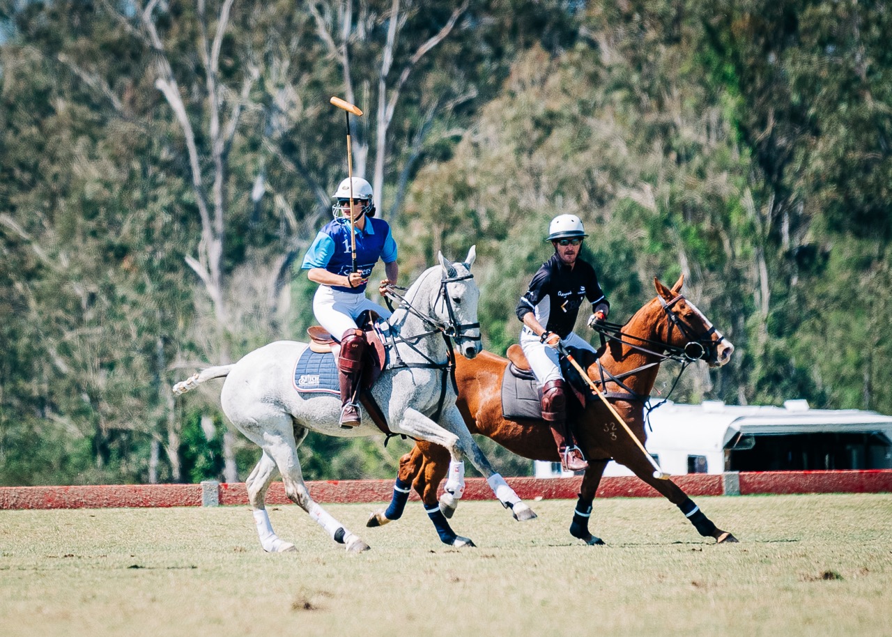 Learn to play polo